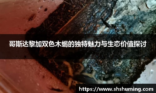 哥斯达黎加双色木蝎的独特魅力与生态价值探讨